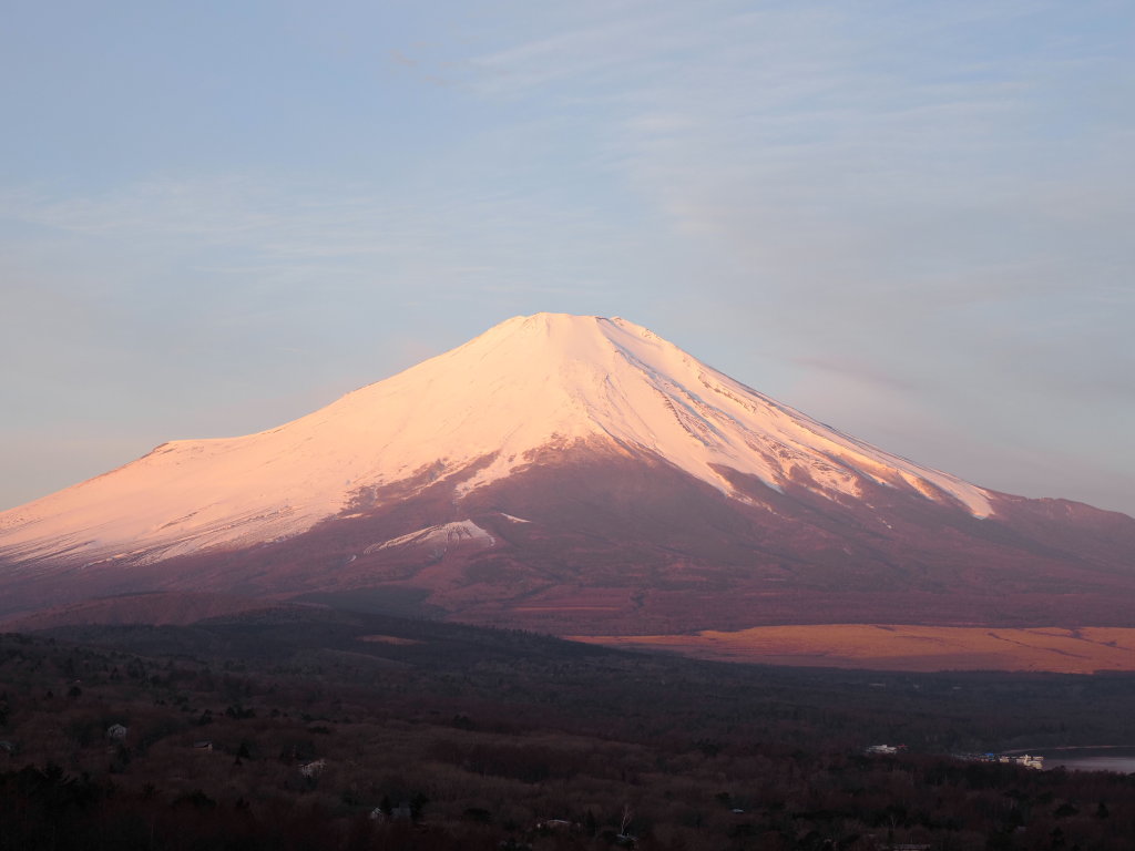 �p�m���}�� ���Ă�