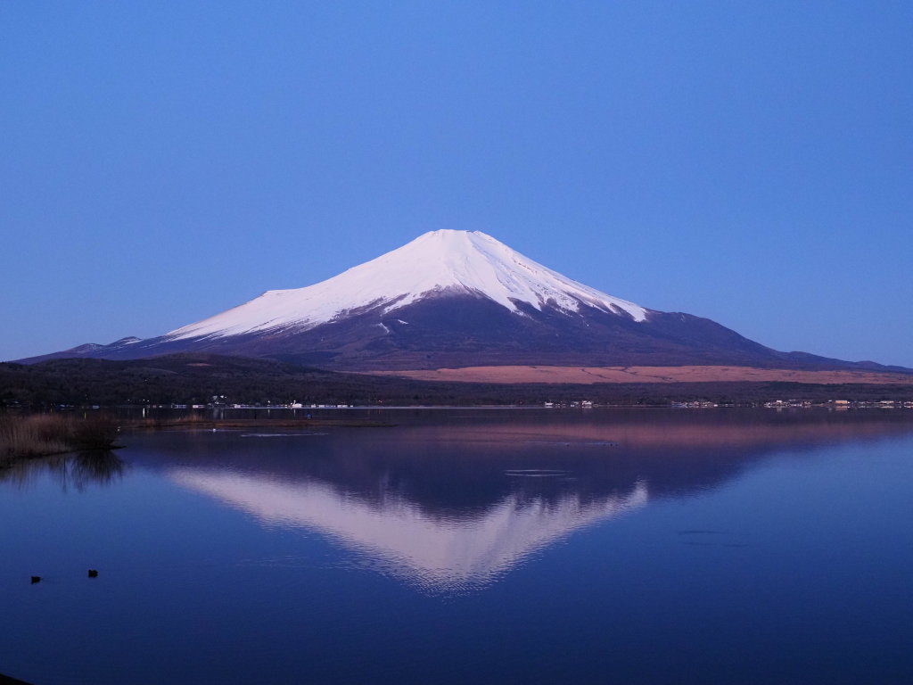 ���� �t���x�m