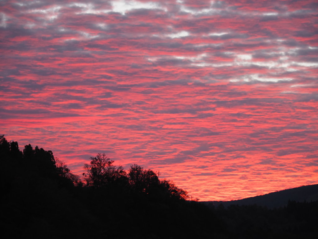 ���r ���̋�