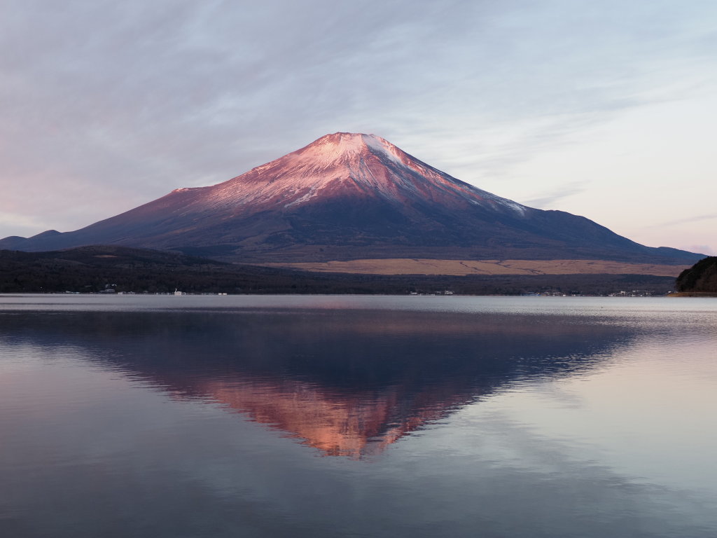 ���� �t���g�x�m