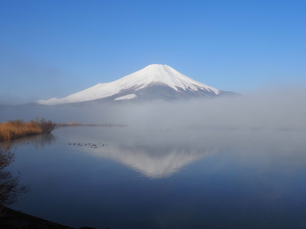 ���� �_�C�̕x�m�R