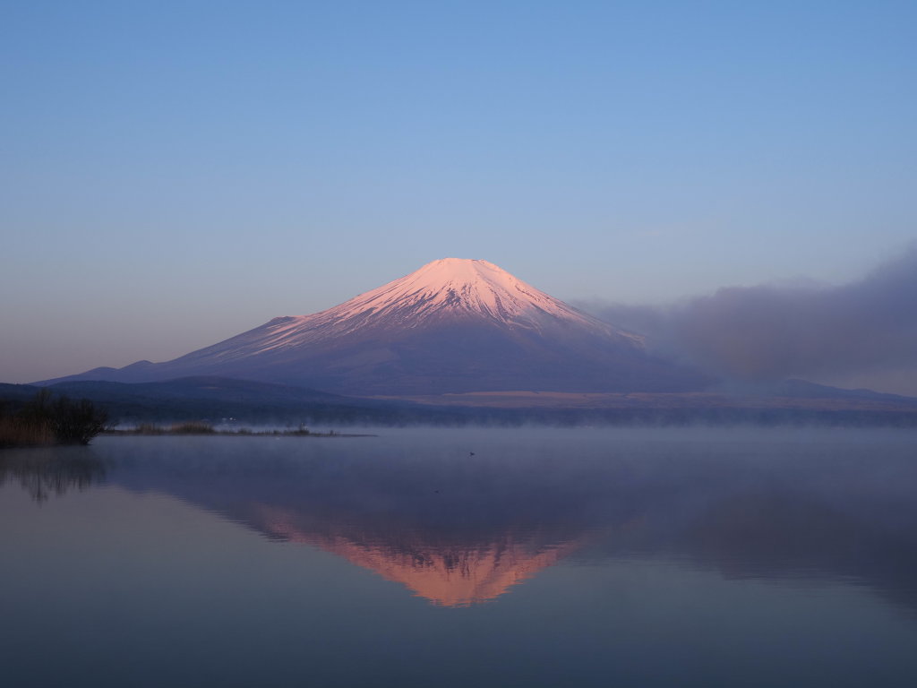 ���� �_�C�̍g�t���x�m