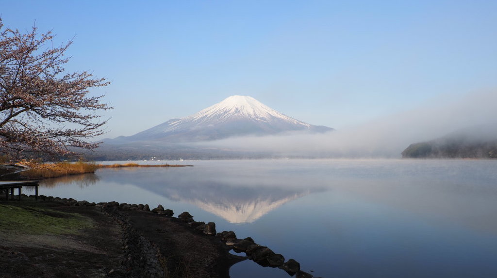 ���� �_�C�̋t���x�m