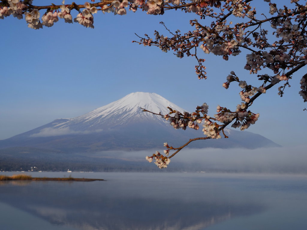 ���� �_�C�ƍ�