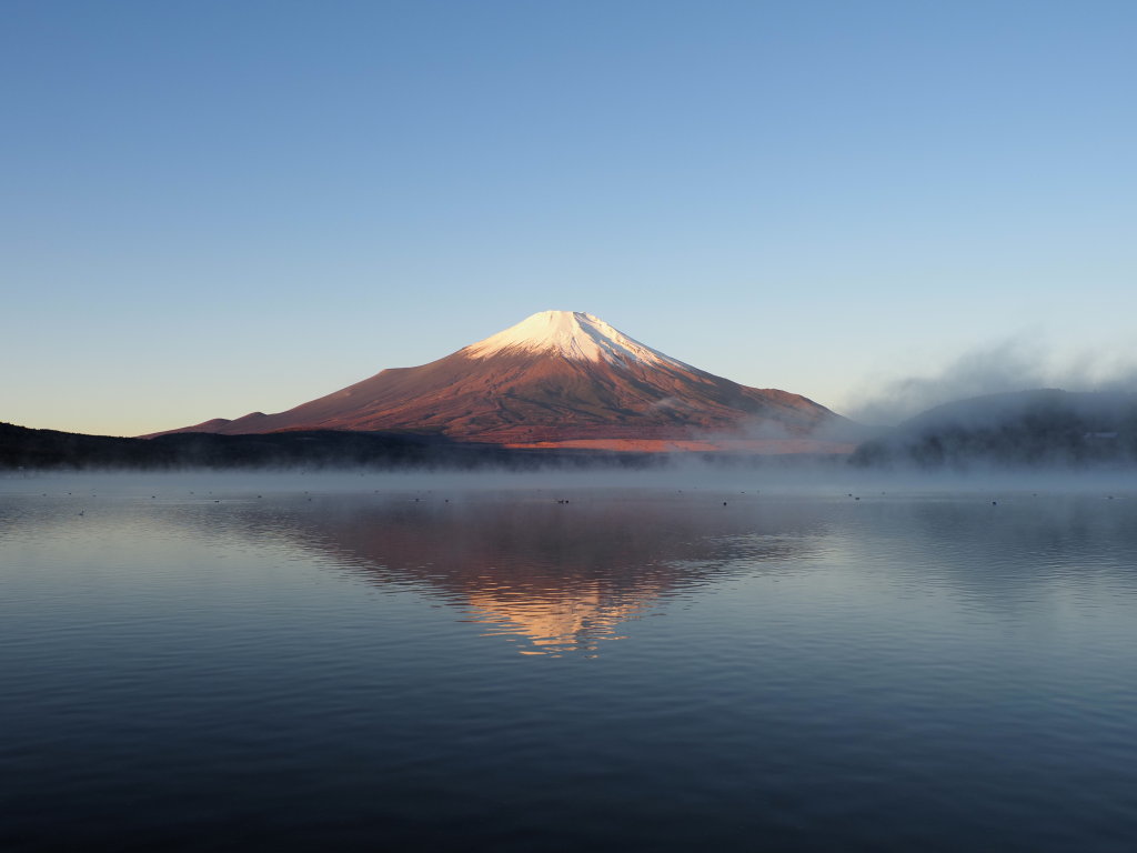 ���� ���Ă��̋t���x�m�R