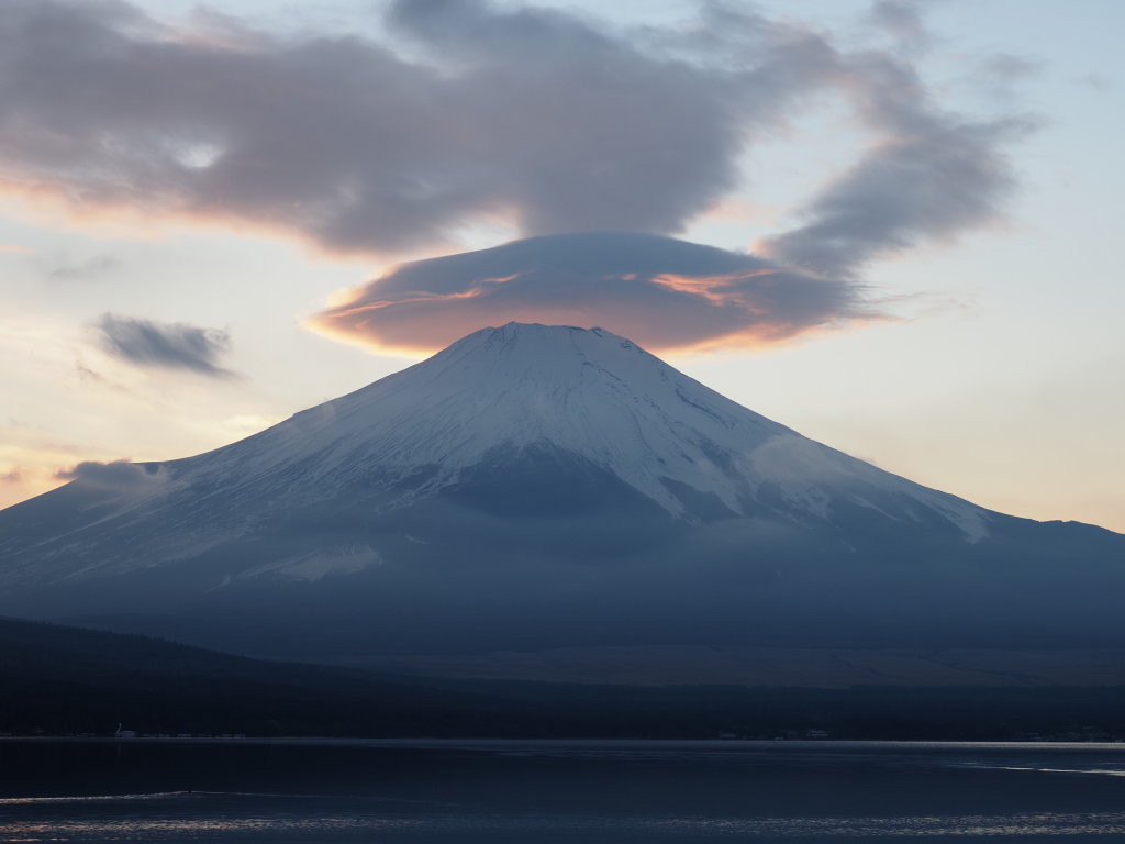 ���� �P�_���g������