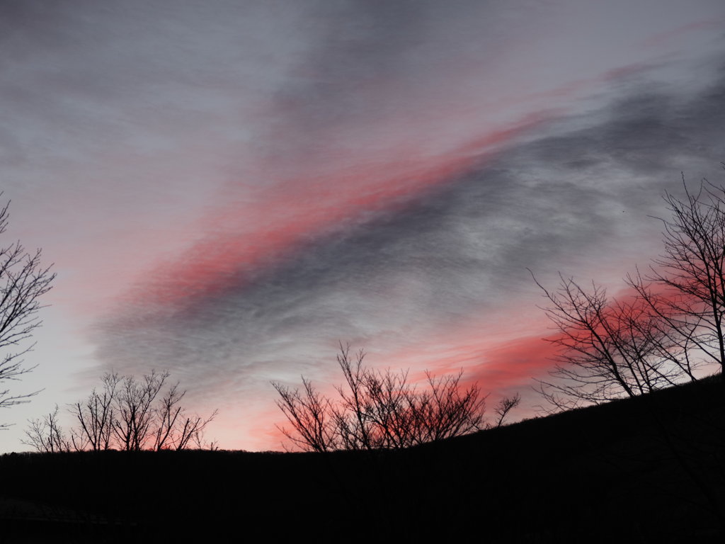 ���̋�͒��Ă�