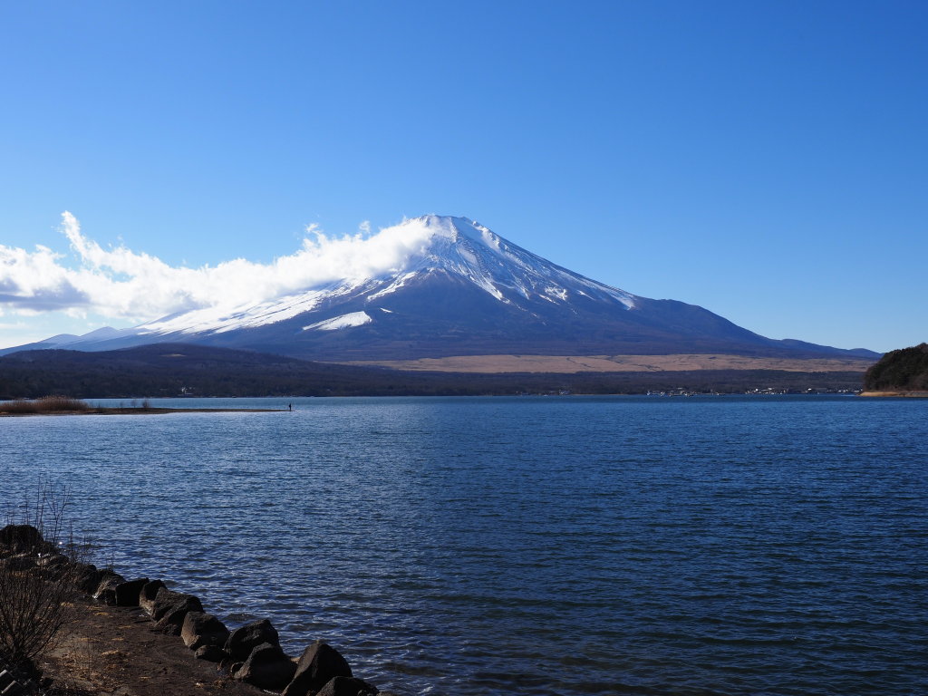 ����@2023�N 1st�V���b�g