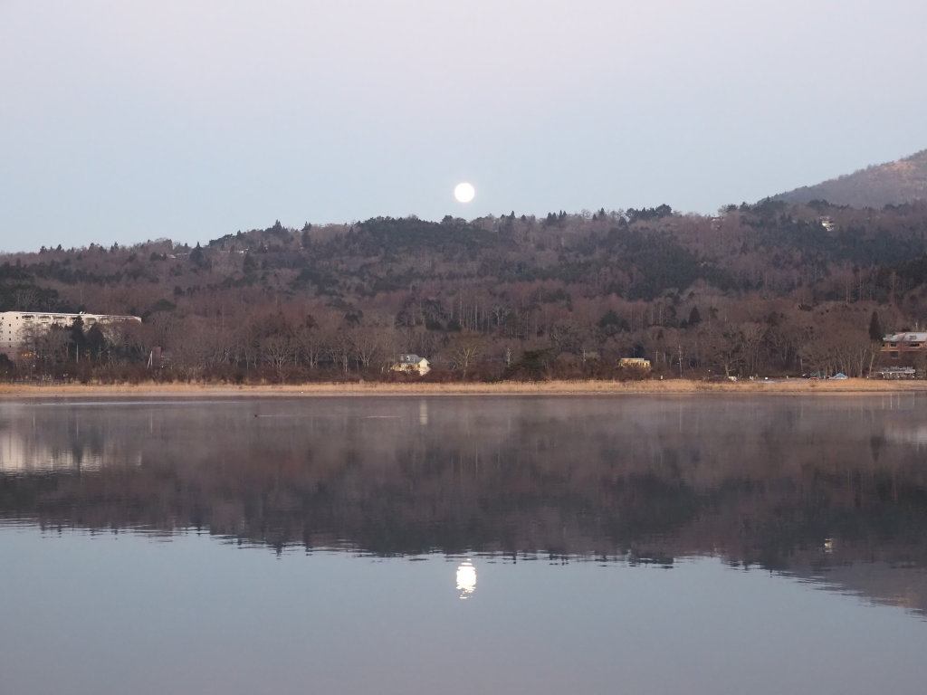 ����@���̓���