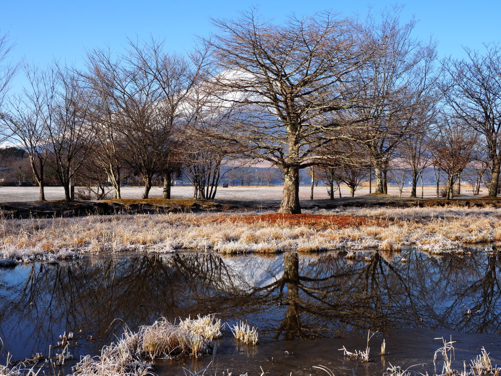 �L�����@�t���x�m