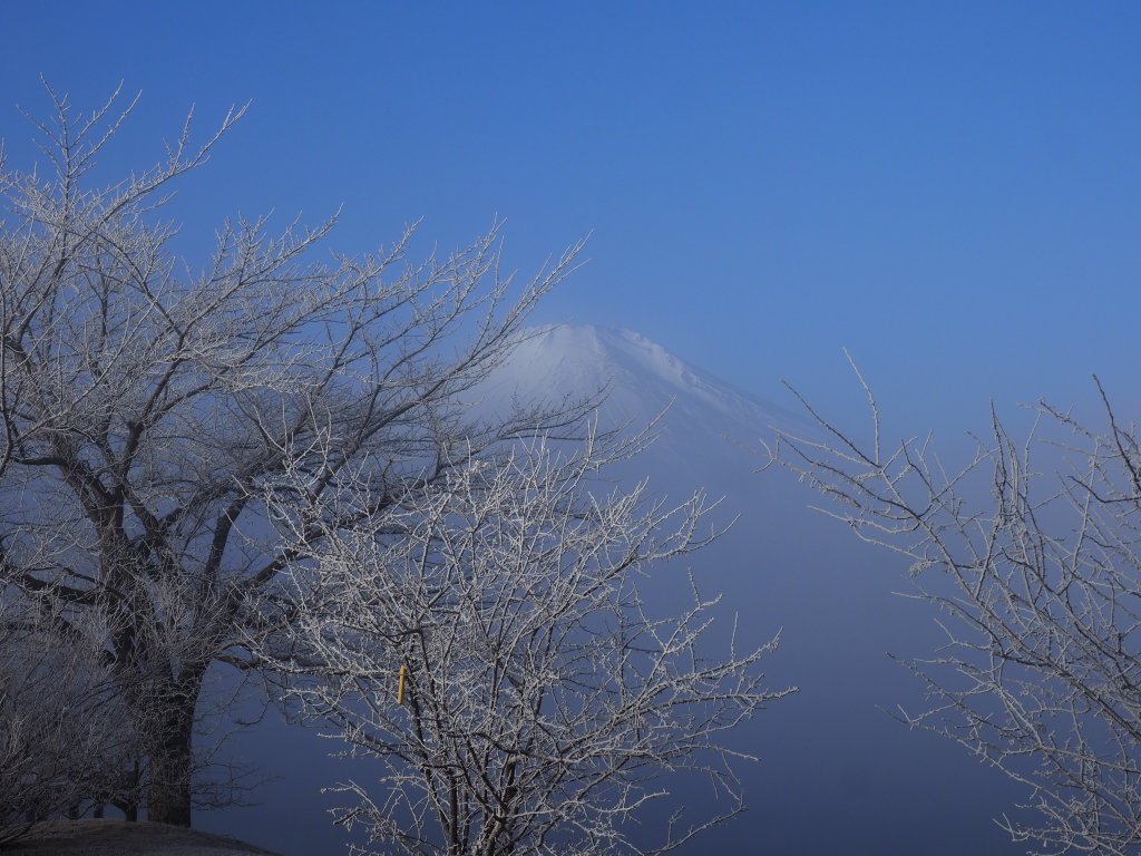 �L�����@�����n�߂�