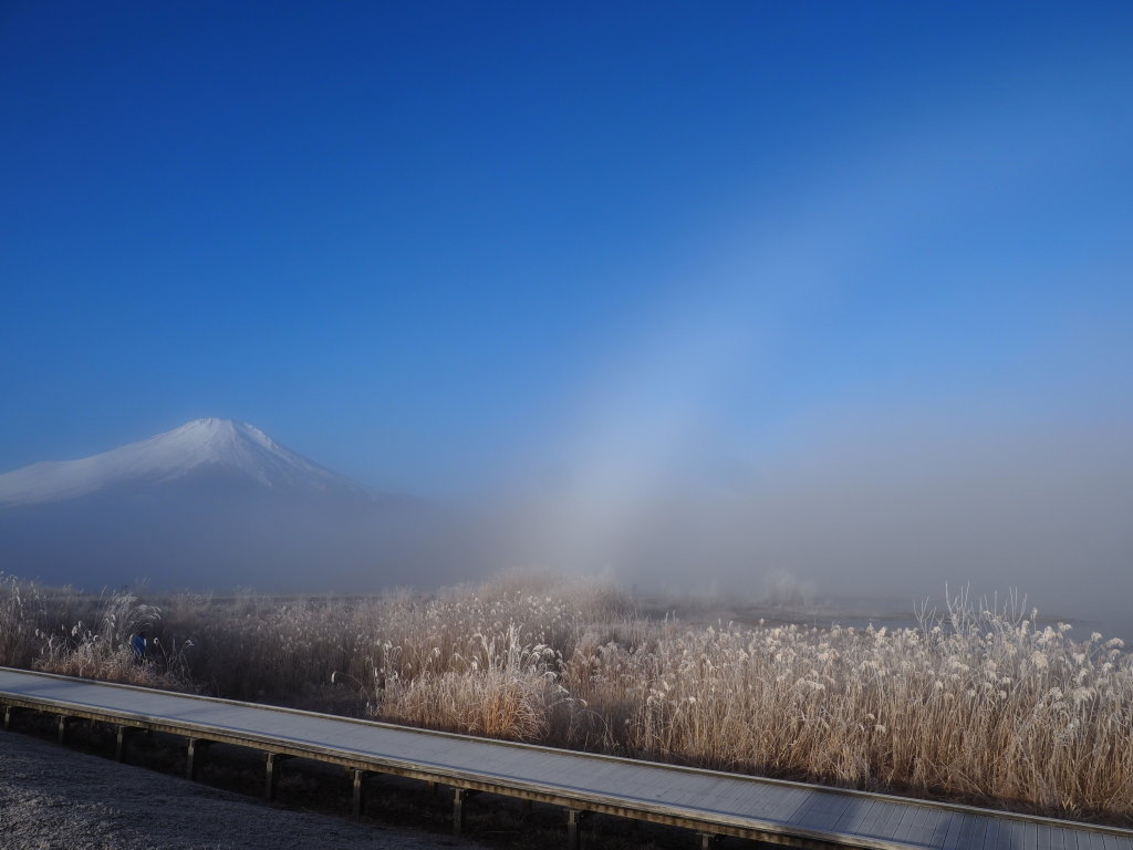 �L�����@������(2)