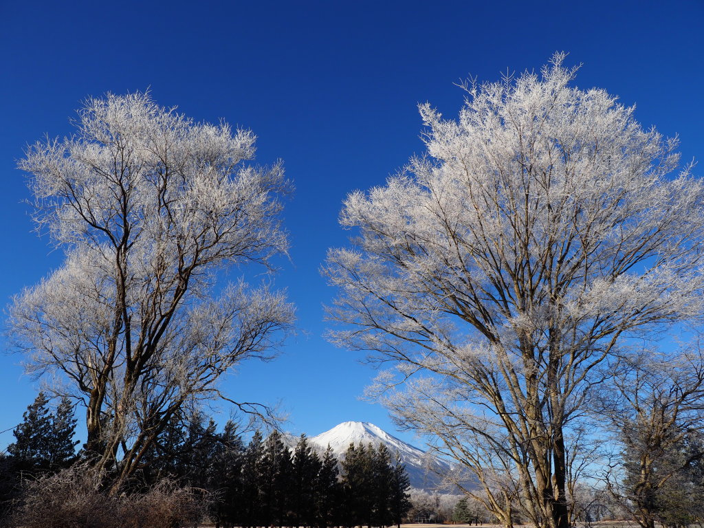 ��x��@���X(2)