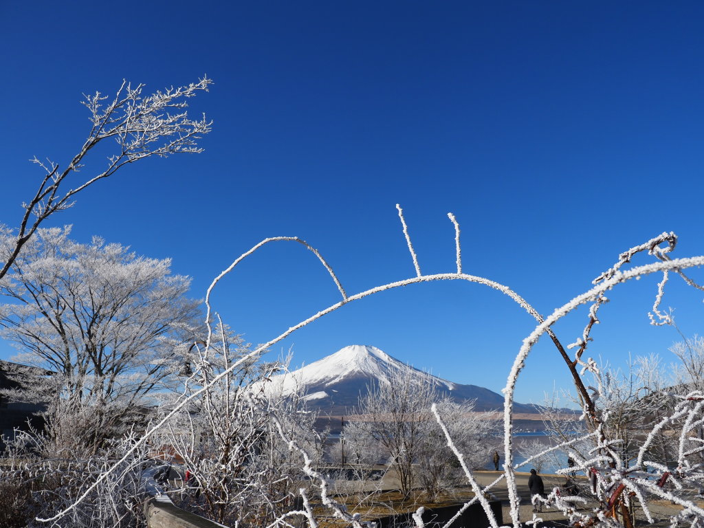 �L�����@��΂�ɖ��X