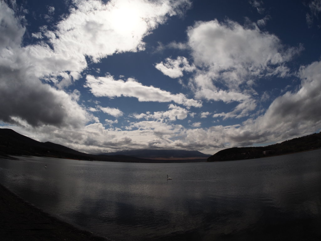 ���� �_�ƕx�m�R