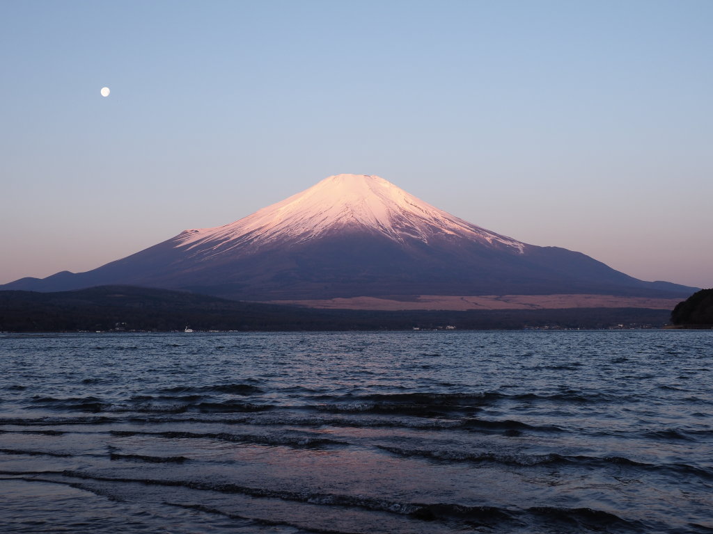 ���� �g�x�m