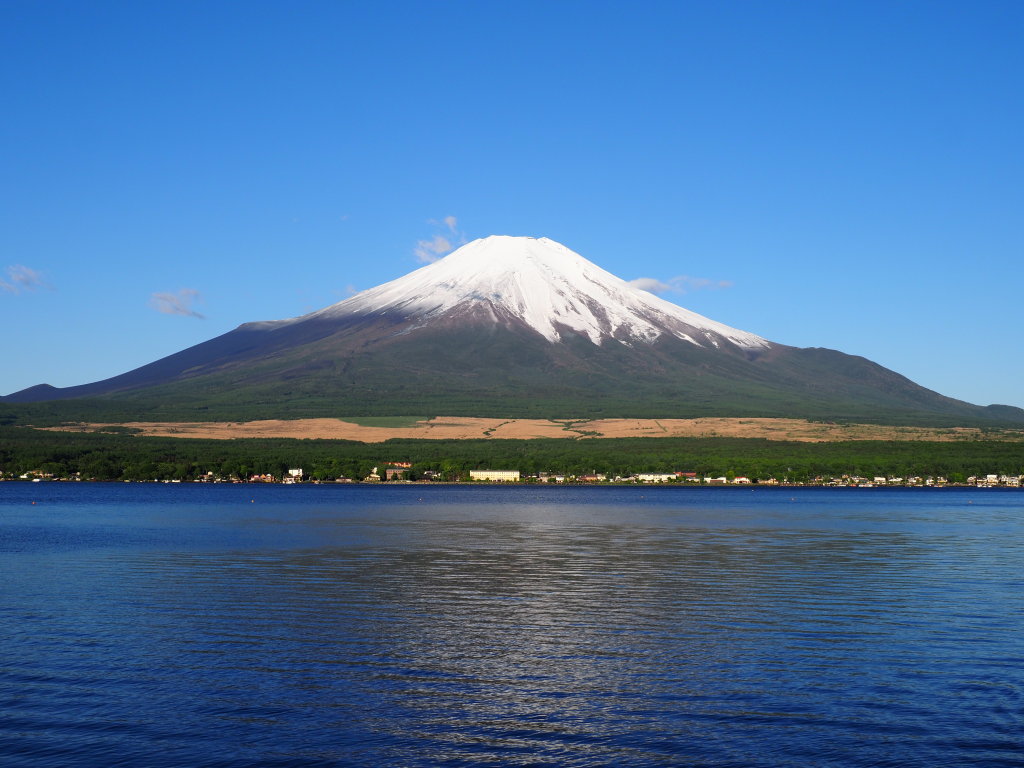 ���r����