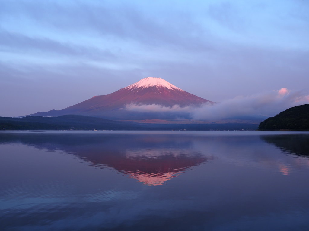 ���� �g�x�m