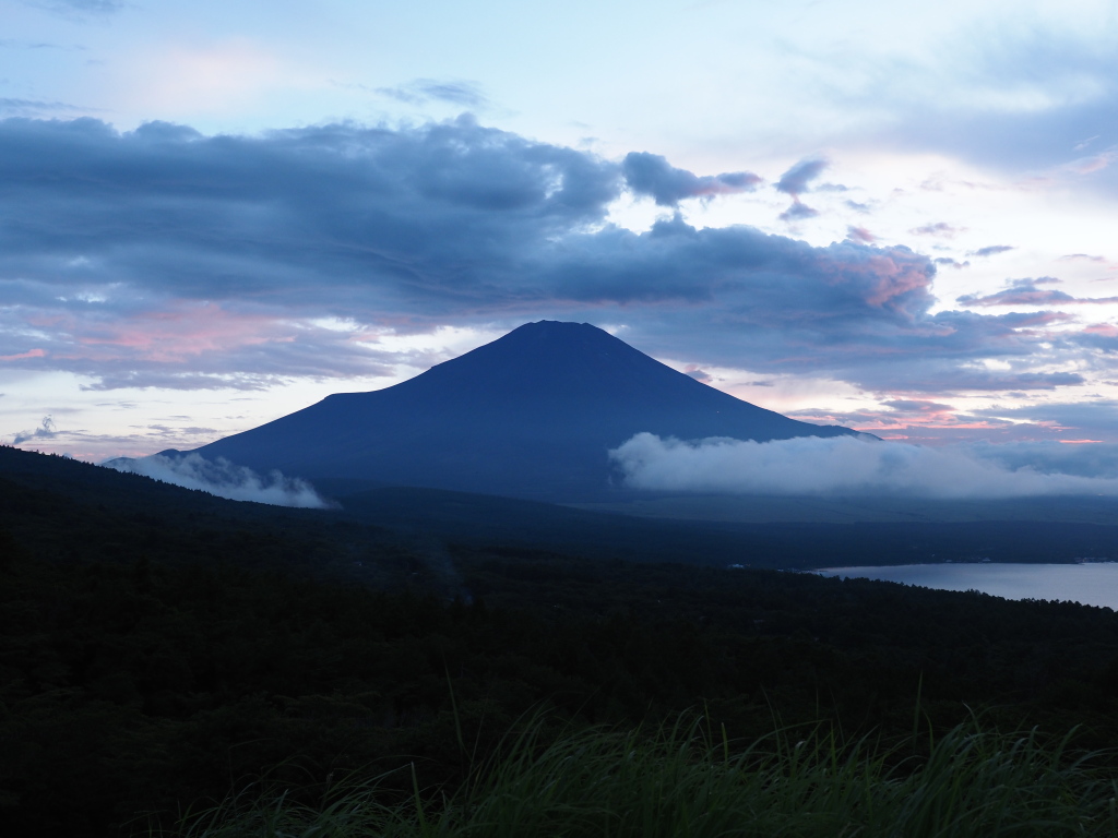 �p�m���}��@���̓���