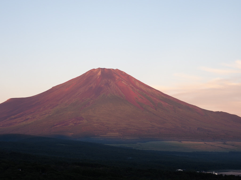 �p�m���}��@�ԕx�m