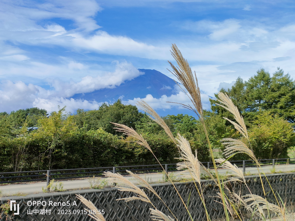 ��x��@�X�X�L�ƕx�m�R