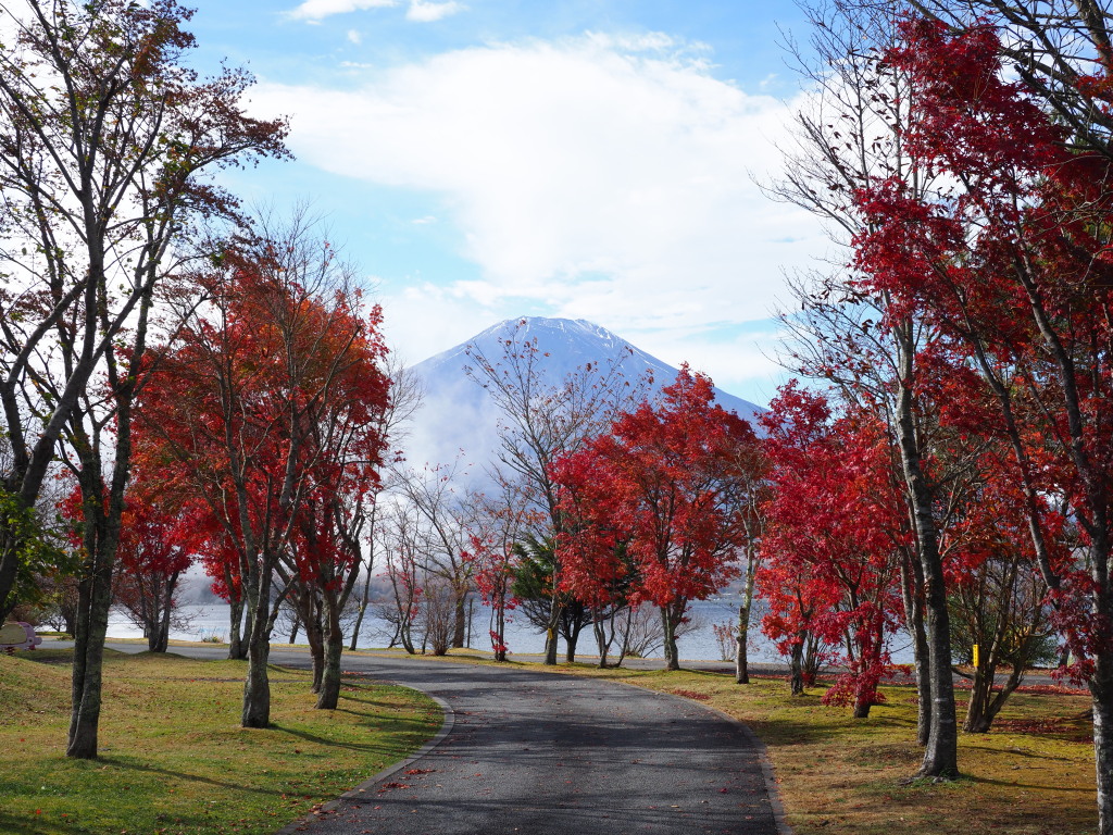 �L�����@�g�t