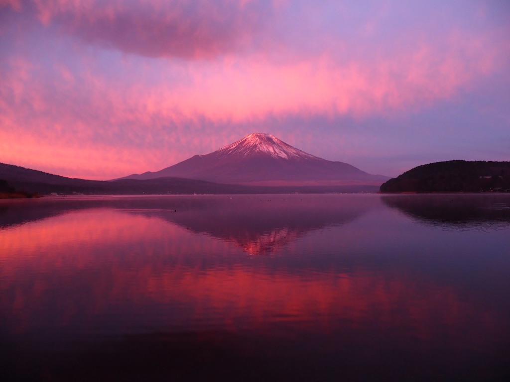 ����@�R���΍g�ɐ��܂�