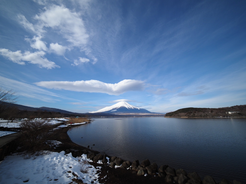 �L�����@�U���̓r��