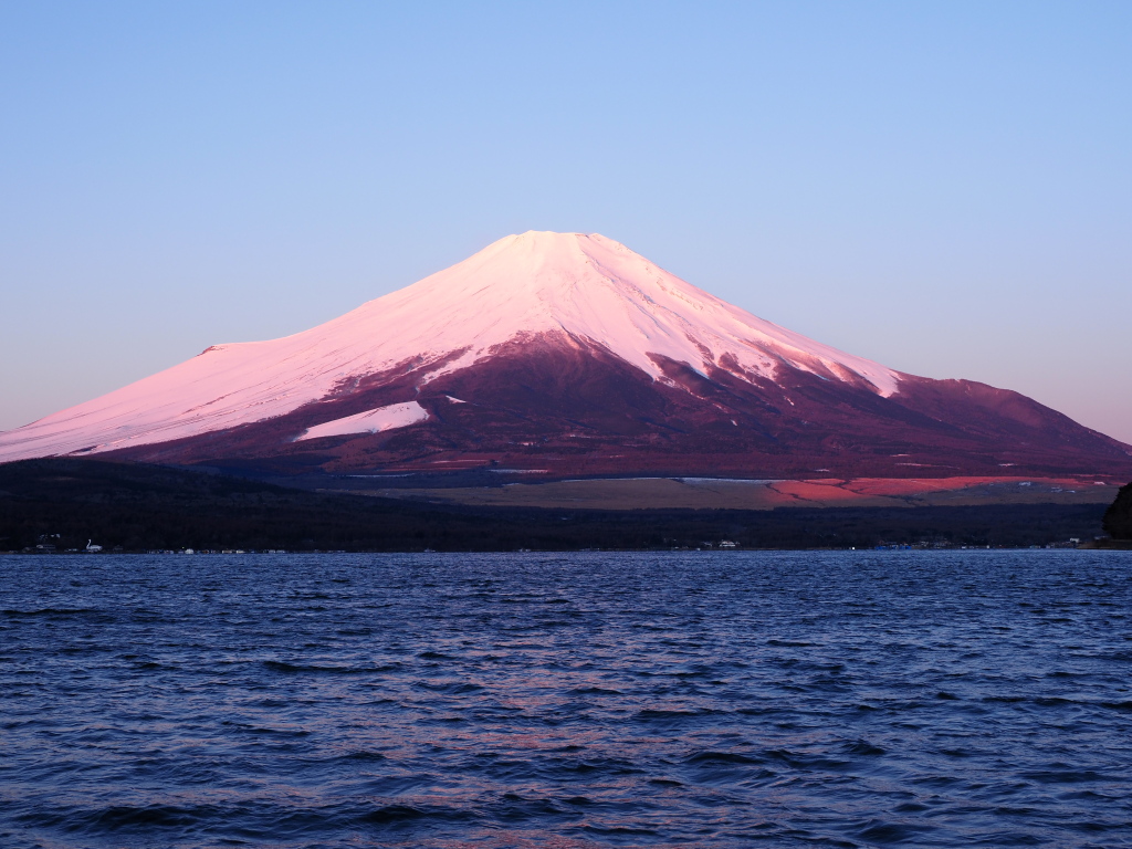 ����@���Ă��̕x�m�R