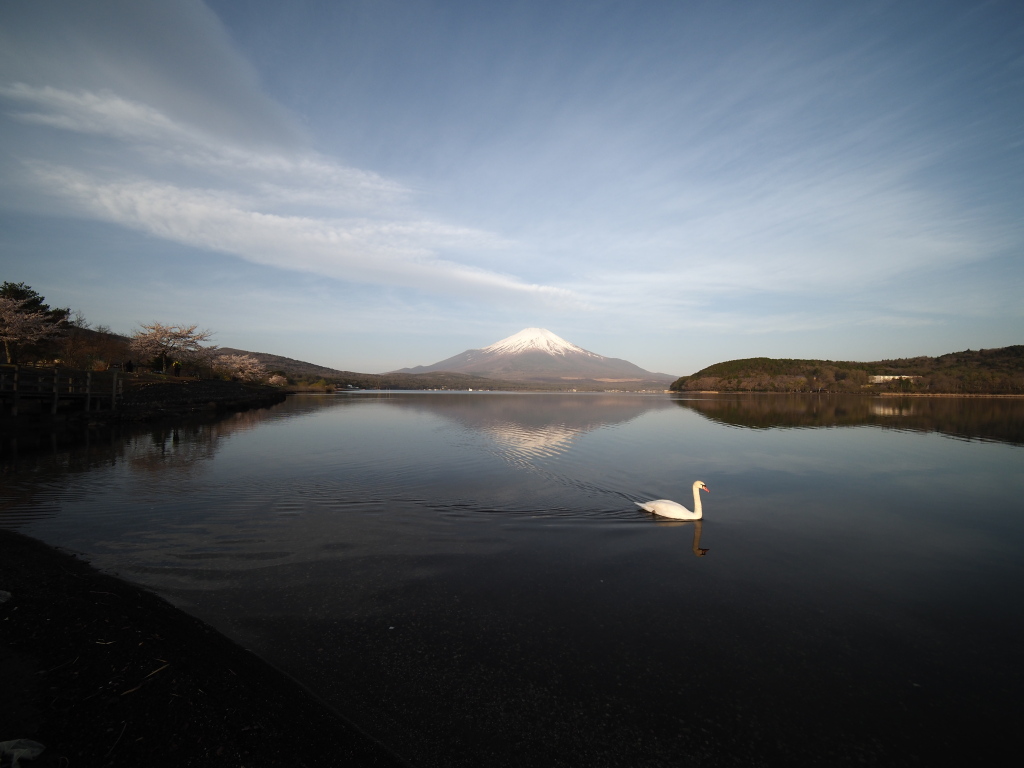 ����@�����ƕx�m�R