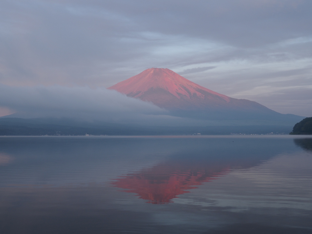 ����@�ԕx�m