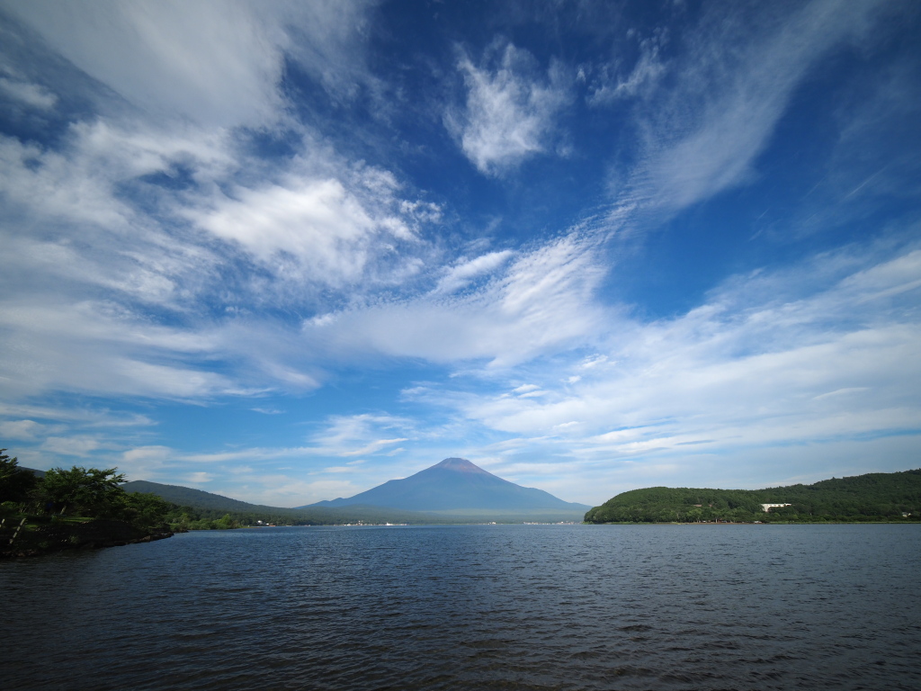 ����@�܂ƕx�m�R(2)