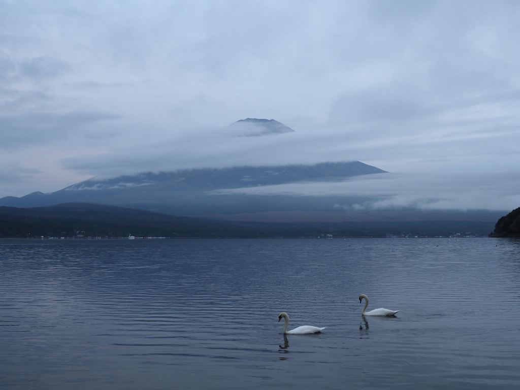 �L�����@�Z�������