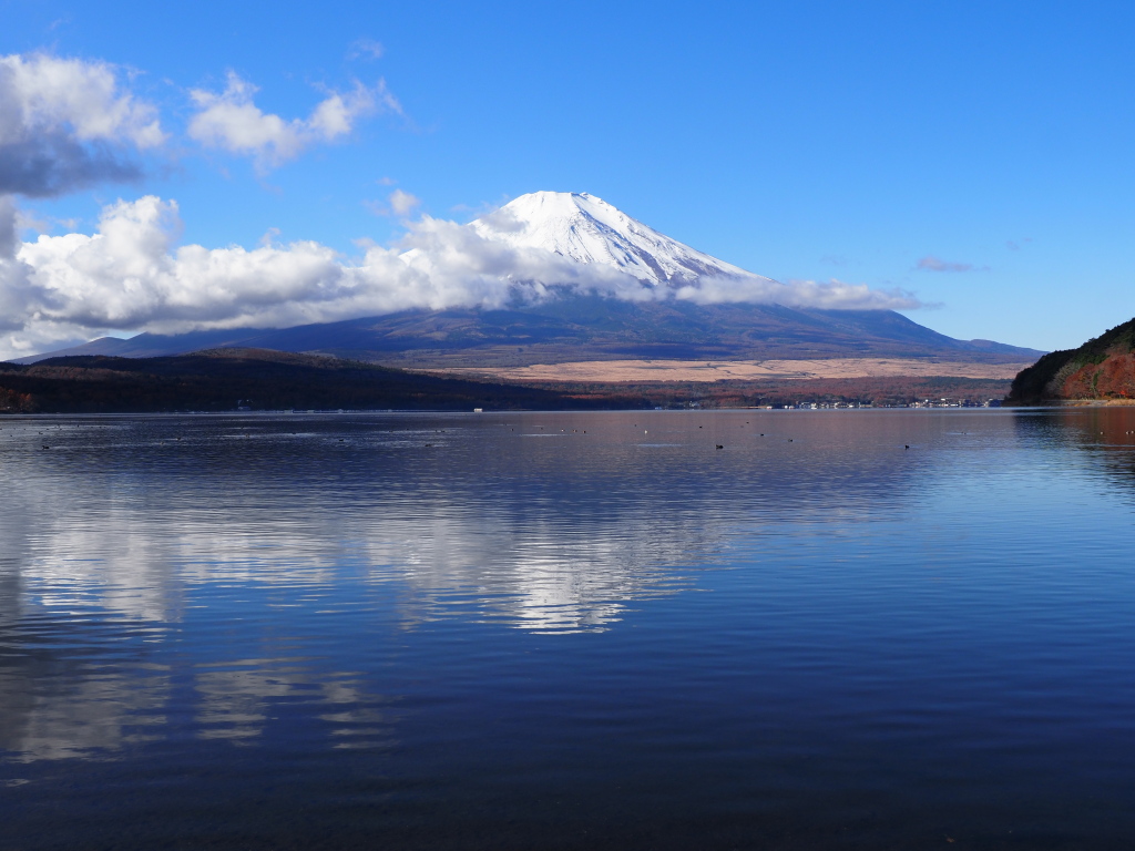 ����@�t���x�m