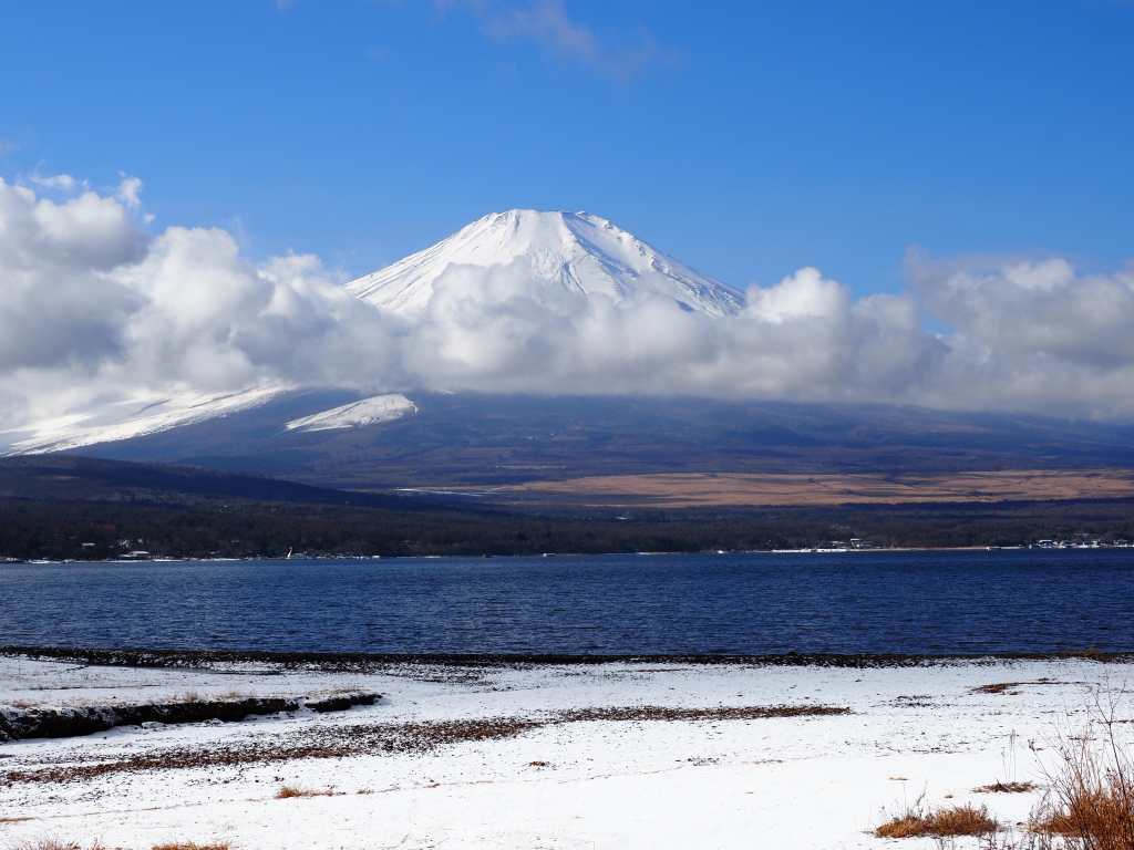 ��x��@�_�ƕx�m�R