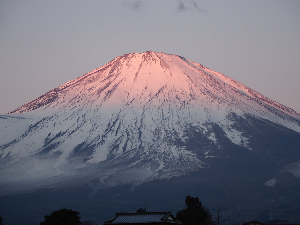 ����@�g�x�m�R