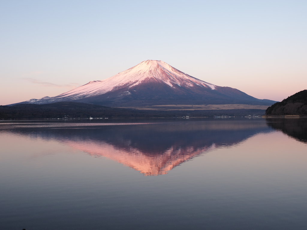 ����@�t���g�x�m