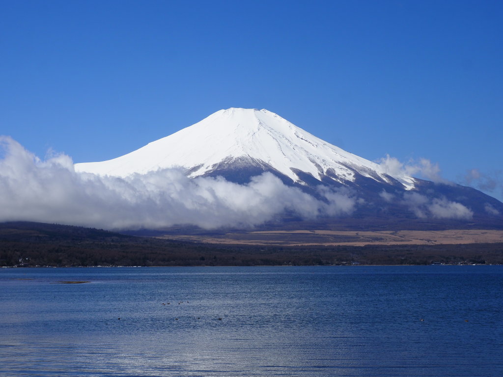 ����@�^�����ȕx�m�R