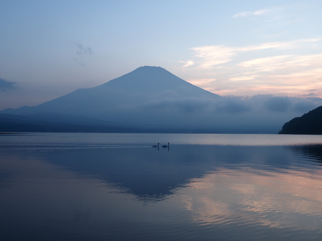 ����@�[�Ă��̕x�m�R