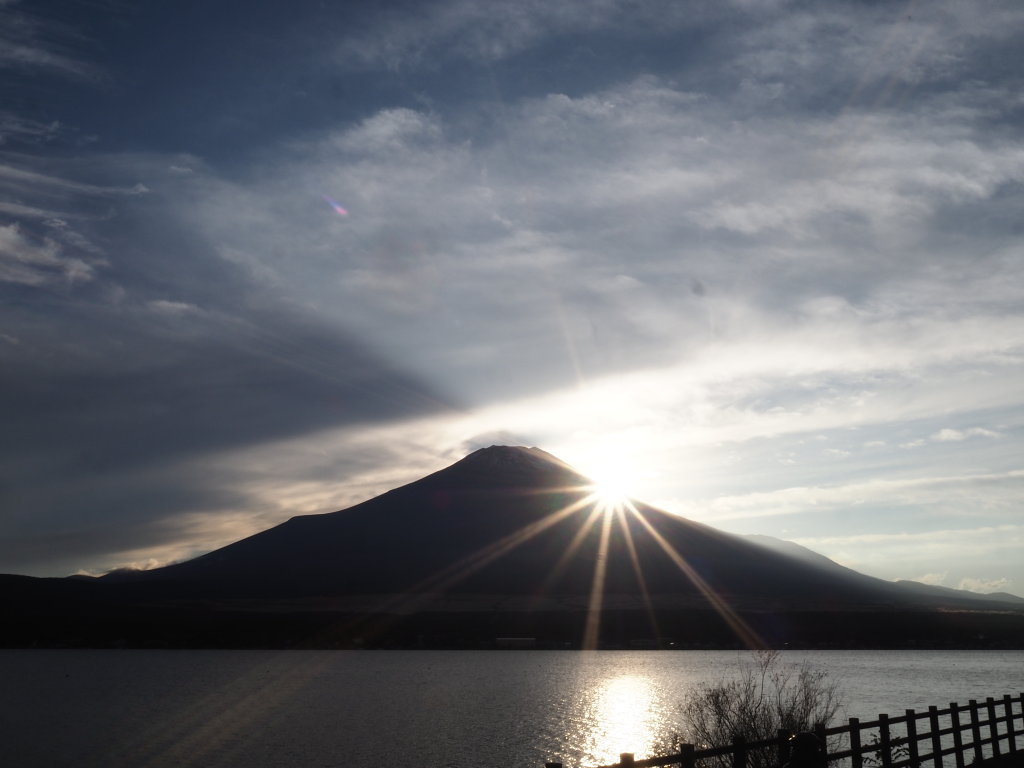 ����@���̓���̕x�m�R