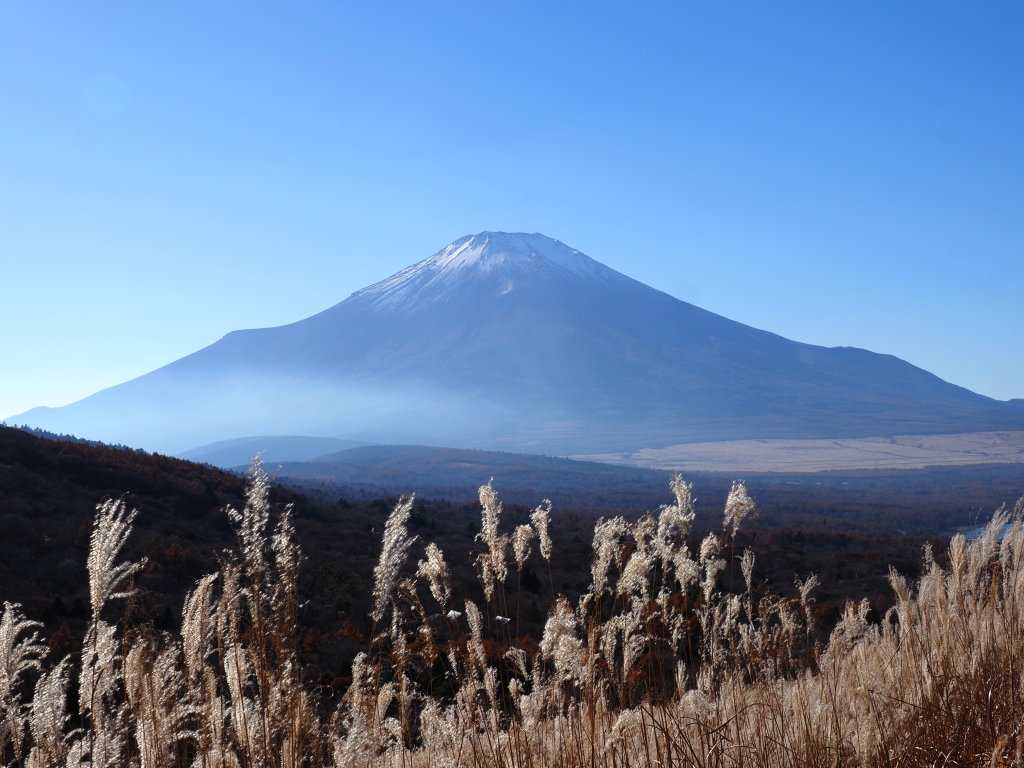 �p�m���}��@�s�[�J���̕x�m�R