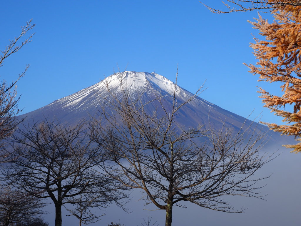 ����@���������