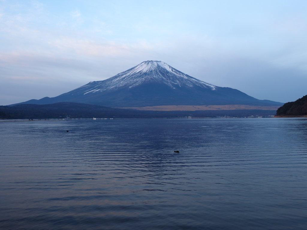 ����@�ق�̂蒩�Ă�